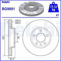 DELPHI Disc Frana Bg9891 Vw California T5/California T6/Multivan T5/Multivan T6/Touareg
