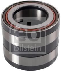 Febi Bilstein Rulment Roata Puntea Spate 174773 Man Foc/Tgl I