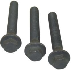 CORTECO Set Surub, Disc Curea-Arbore Cotit 80004867 Ford Mondeo Iii/Transit (80004867)