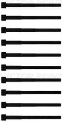 Victor Reinz Set Surub, Chiulasa 14-32326-01 Lexus Ct/Nx Scion Im/Xd Suzuki Swace Toyota C-Hr