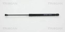 TRISCAN Amortizor Portbagaj 871066206 Seat Ibiza Iv