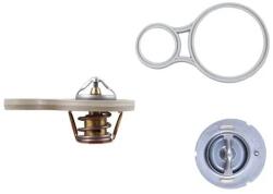 MAHLE Termostat, Lichid Racire Tx25591 Chrysler Caravan/Concorde/Grand Caravan/Neon
