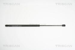 TRISCAN Amortizor Portbagaj 871011225 Bmw 3