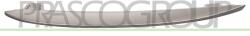 PRASCO Banda De Protectie, Grila Radiator Stanga Bm0482128 Bmw 5