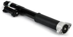 Arnott Amortizor Axa Spate Dreapta Sk-3389 Mercedes-Benz C-Class/C-Class T-Model (SK-3389)