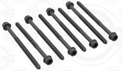 ELRING Set Surub, Chiulasa 223.890 Audi A4 B8/A4 B9/A5/A6 C7/A6 C8/A7/A8 D4/A8 D5/Q5/Q7 (223.890)