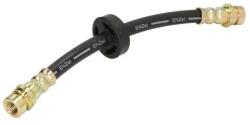 ABE Furtun Frana Puntea Spate C83162Abe Ford Focus I (C83162ABE)