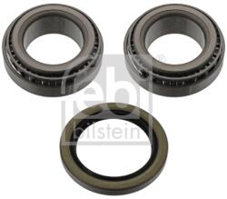 FEBI BILSTEIN Set Rulment Roata Axa Spate Dreapta 08080 Ford Escort/Escort Classic/Escort Vi (08080)