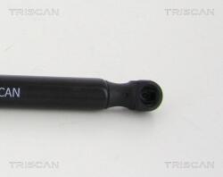TRISCAN Amortizor Portbagaj 871038239 Citroën Ds5 Ds Ds 5