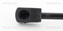 TRISCAN Amortizor Portbagaj 871043238 Hyundai Ix20 (871043238)