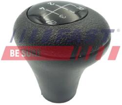 FAST Maciulie Maneta Schimbat. Vit. Ft00075 Bmw 3/5/Z4