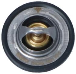 NRF Termostat, Lichid Racire 725089 Renault Clio Iii