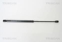 TRISCAN Amortizor Portbagaj 871016239 Ford Focus Ii (871016239)