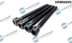 Dr. Motor Automotive Surub Ajustare Pompa Injectie Drm0609S Audi A2/A3/A4 B5/A4 B6/A4 B7/A6 C5 Vw Eos