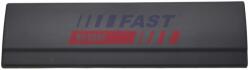 FAST Elemente Decorative/Protectie, Panou Lateral Spate Dreapta Ft90797 Fiat Ducato