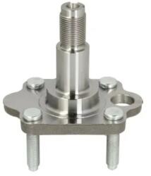BTA Set Rulment Roata Axa Spate Stanga H50004Bta Chevrolet Aveo / Kalos/Spark (H50004BTA)