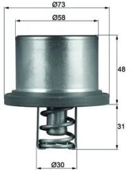 MAHLE Termostat, Lichid Racire Thd289 Porsche Cayenne (THD289)