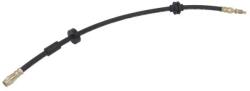ABE Furtun Frana Axa Fata Stanga C86169Abe Citroën Ds5 Ds Ds 5 Peugeot Rcz (C86169ABE)
