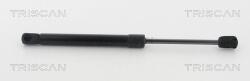 TRISCAN Amortizor Capota 871011133 Bmw 5/6/6 Gran