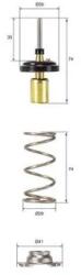 MAHLE Termostat, Lichid Racire Tx25782D Aston Martin Cygnet Subaru Trezia Toyota Auris (TX25782D)