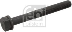 Febi Bilstein Surub, Suport Lagar-Arbore Cotit 10734 Man F8/F90 Unterflur/Sr Mercedes-Benz Mk