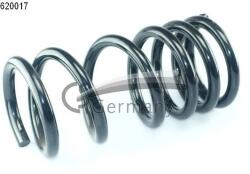 CS Germany Arc Spiral Puntea Spate 14.620. 017 Mitsubishi Pajero Iv