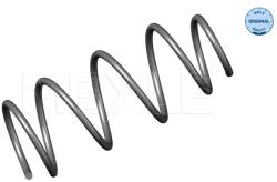 MEYLE Arc Spiral Punte Fata 16-146390010 Renault Megane Ii (16-146390010)