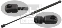 Febi Bilstein Amortizor Portbagaj Pe Ambele Parti 27589 Mini Mini