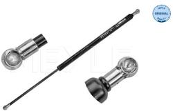 MEYLE Amortizor Portbagaj 16-409100016 Renault Scénic Ii (16-409100016)