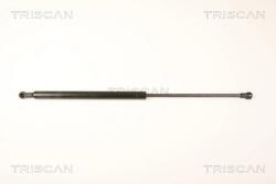 TRISCAN Amortizor Portbagaj 871025245 Renault Laguna Iii (871025245)