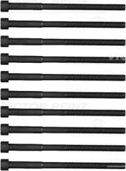 VICTOR REINZ Set Surub, Chiulasa 14-12343-01 Hyundai Elantra Iv/I20 I/I30/Ix20 Kia Cerato Ii (14-12343-01)
