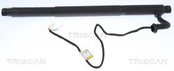 TRISCAN Amortizor Portbagaj Dreapta 871011302 Bmw X6