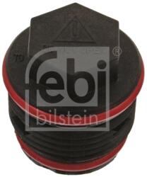 FEBI BILSTEIN Surub Aerisire/Supapa Aerisire, Radiator 47133 Scania 4 - Series/G I/P I/P Ii/T (47133)