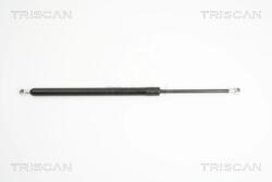TRISCAN Amortizor Portbagaj 871029277 Audi Tt