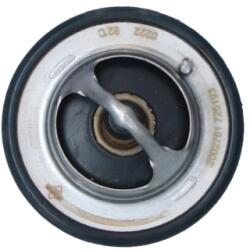 NRF Termostat, Lichid Racire 725193 Hyundai Equus / Centennial/Genesis/Grandeur/Ix55 (725193)