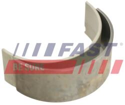 FAST Acoperire Motor Dreapta Ft99016 Iveco Daily Iv (FT99016)