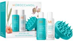 Moroccanoil Scalp Discovery Set szett zsíros fejbőrre korpásodás ellen