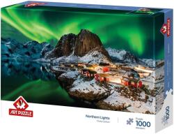Art Puzzle Пъзел Art Puzzle от 1000 части - Северно сияние (41009)