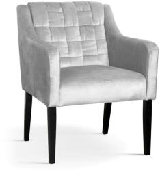 ATREVE Trevor Kárpitozott Fotel Bársony Szürke (ATE-TREVARSTGR1XXXP)