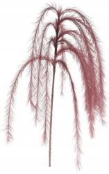 H&L Műdísz tollak Toll 130cm, sötét rózsaszín (A474-00-00)