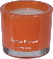 H&L Illatos gyertya üvegben Bougie 9cm, Narancsvirág, narancs (A100-OB-00)