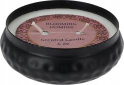 H&L Zana díszgyertya 95x95x38 mm, fekete dobozban, 16 óra (A924-00-00)