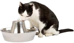 PetSafe Szökőkút kutyáknak és macskáknak PetSafe Seaside rozsdamentes acél 1, 8L