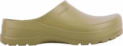 Coqui SEED 36