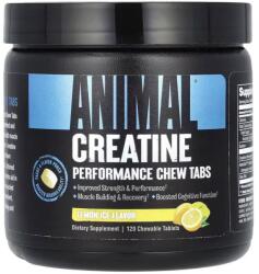 Animal Creatine Chews, Lemon Ice (EAN 039442005182) - 120 chewable tablets
