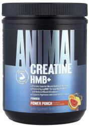 Animal Creatine HMB+, Power Punch - 342 grams