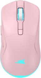 Baracuda Turtle-P BC (BGM-124P)