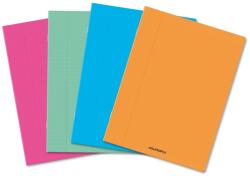 Aurora Caiet A4 36 file 80g/mp, coperta plastic, Aurora (36PPT)