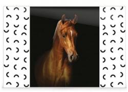 KOH-I-NOOR Mapa birou 40x60cm Horse, Koh-I-Noor (KPPZ12061)