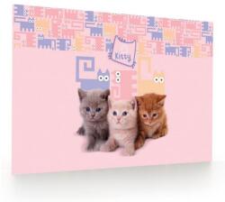 KOH-I-NOOR Mapa birou 40x60cm Cats, Koh-I-Noor (KPP5-86425)
